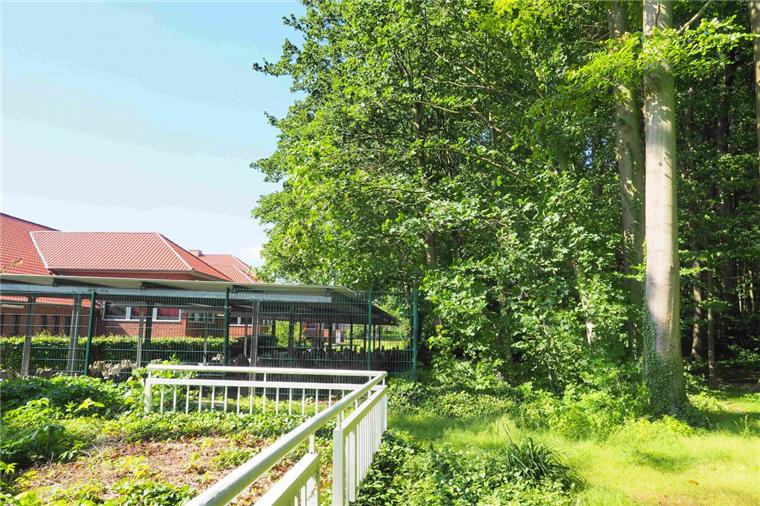 Für die Schulerweiterung müssen Bäume fallen Direkt hinter dem Gymnasium Langen befindet sich der Park "Friedrichsruh". Ein halber Hektar an
Bäumen müsste einer Erweiterung des Gymnasiums weichen. Dagegen
wendet sich der BUND.