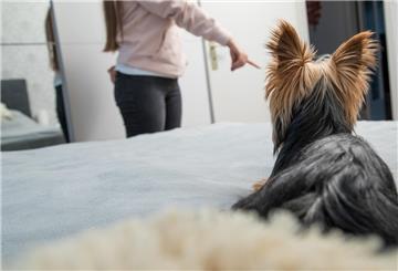 Hund mit Besitzerin
