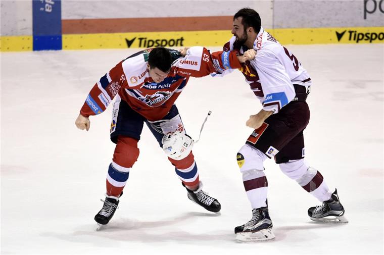 Fischtown Pinguins holen kampfstarken Stürmer Dominik Uher Dominik Uher (rechts), Neuzugang der Fischtown Pinguins, ist ein Stürmer, der auch hinlagen kann.