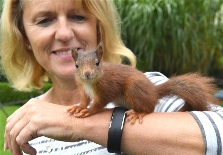 Vor dem Tod gerettet: Bremerhavener Familie päppelt hilfloses Eichhörnchen auf Doris Lohse und "Puschel" sind ein starkes Team.