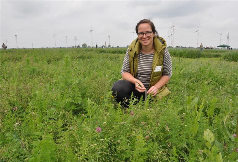 Klimawandel fordert die Landwirtschaft immer mehr Dr. Anja Schmitz vom ADAM-Projekt der Universität Göttingen auf einer artenreichen Versuchsfläche. Ziel des ADAM-Projekts ist es, auf intensiv genutztem Dauergrünland Zonen mit einer artenreichen Vegetation zu integrieren.