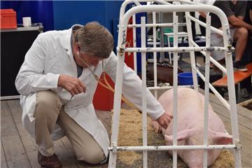 Dr. Jens Berger untersucht Jolanthe.