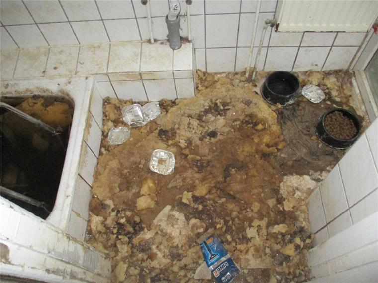 Lehe: Mieter lassen Möpse in völlig verdreckter Wohnung zurück Dreck, Unrat und zwei kleine Hunde haben Mieter in Bremerhaven-Lehe hinterlassen.