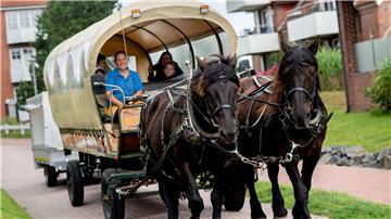 Drei Kutschbetriebe und eine Inselspedition transportieren auf Baltrum Waren, Möbel, Müll, Baumaterialien und Urlaubsgäste mit Arbeitspferden.