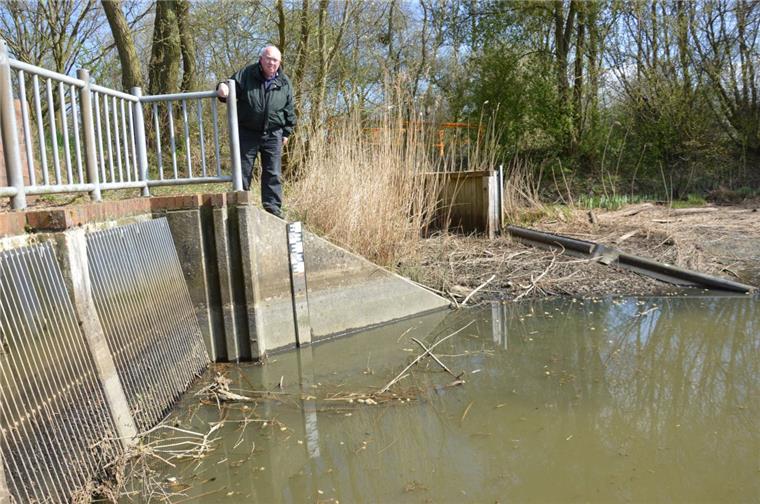 Drei Viertel des Wassers aus dem Becken sind abgepumpt, viele Fische sind tot: Vereinsvorsitzender Joachim Malicki ist fassungslos.