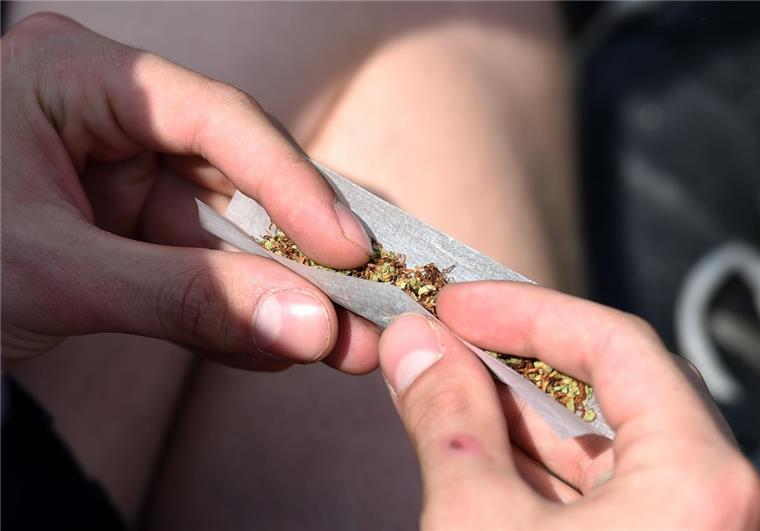 Drogendelikte an niedersächsischen Schulen nehmen zu. Besonders Cannabis erfreut sich unter den Schülern großer Beliebtheit.