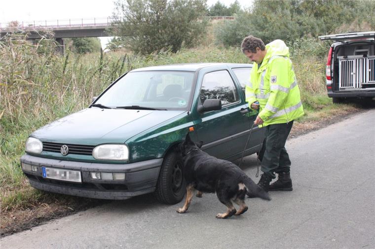 Drogenspürhund untersucht ein Auto