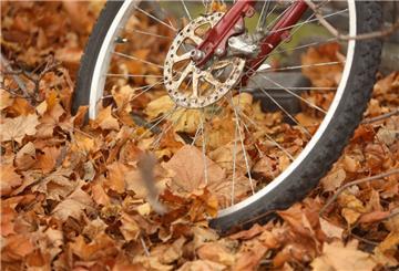 Herbstlaub liegt auf einem abgestellten Fahrrad.