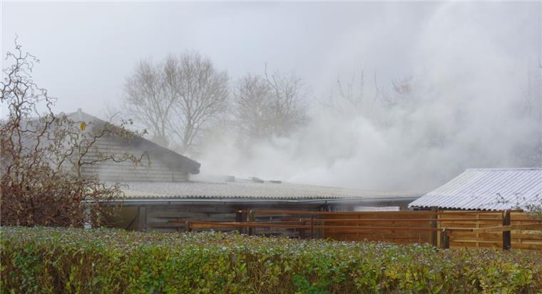 Fünf Stunden Einsatz: Erneut Gartenhausbrand in der Jahnstraße Durch den Brand kam es zu einer starken Rauchentwicklung.