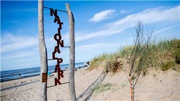 Durch den Nationalpark Niedersächsisches Wattenmeer sollen viele Stromkabel zur Anbindung von Windparks auf See verlaufen. (Archivbild)