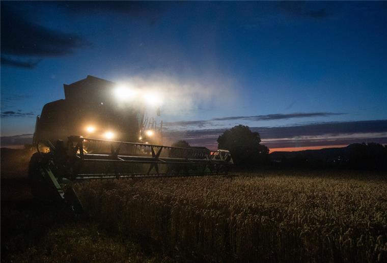 Landwirte im Cuxland in unsicheren Zeiten Durch den Ukraine-Krieg ist Getreide knapp geworden, da dürfe man keine wertvollen Ackerflächen stilllegen, findet der Bauernverband.