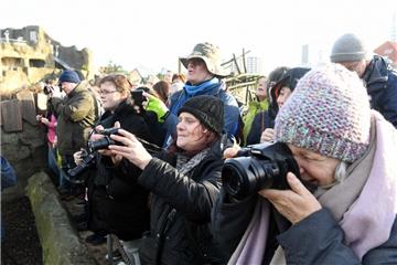 Dutzende Eisbären-Fans schauten zu.