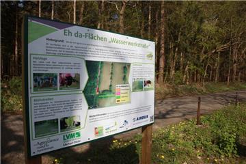 "Eh-da-Flächen" sind Flächen, die weder landwirtschaftlich noch naturschutzfachlich genutzt werden. In der Gemeinde Wingst werden diese Gebiete nach und nach in blühende Landschaften verwandelt.