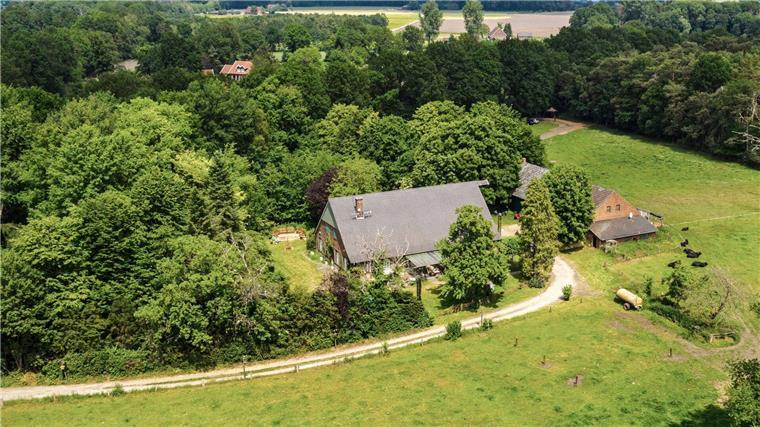 Es geht im „Sommerhaus“ wieder um alles - außer um die Wurst Eher rustikal und etwas ab vom Schuss: Das „Sommerhaus der Stars“ steht in Bocholt.