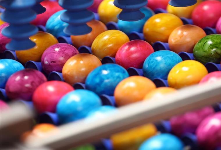 Eier sind aktuell knapp und die Preise hoch: Was das für Ostern bedeutet Frisch gefärbte Ostereier werden in der Ostereierfärberei auf einem Rollband zum Verpacken befördert