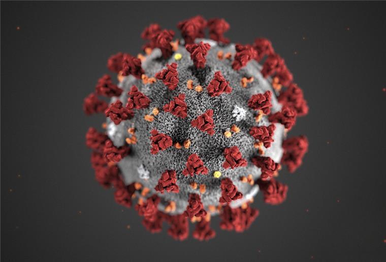 Ein 82-Jähriger aus Berne ist an oder mit dem Coronavirus verstorben.