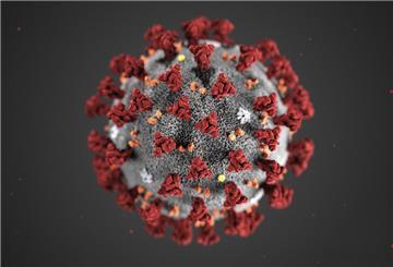 Ein 82-Jähriger aus Berne ist an oder mit dem Coronavirus verstorben.