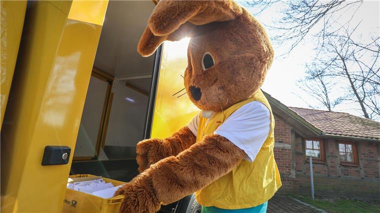 Mehr als 12.000 Briefe an den Osterhasen Ein als Hanni Hase verkleideter Mann holt Briefe für das Osterpostamt in Ostereistedt ab.