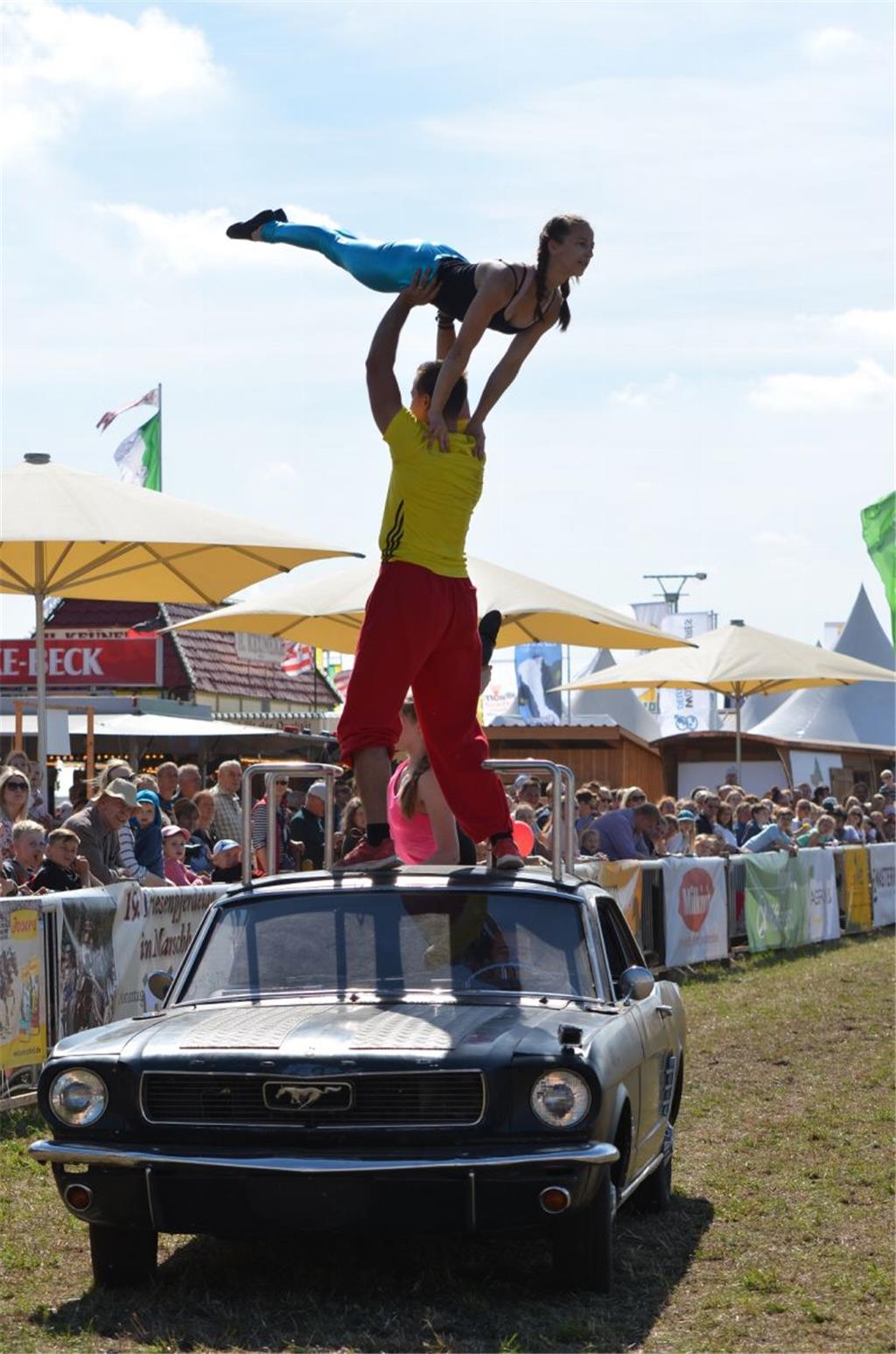 Ein alter Ford Mustang mit Elektromotor als Basis für akrobatische Übungen – was das „Tra-Volta-Showteam“ in Tarmstedt bietet, ist alles andere als alltäglich. Die Truppe mischt eine Art Stunt-Programm mit klassischen Voltigier-Übungen und fährt dabei mit dem umgebauten Oldtimer im Kreis.