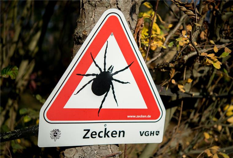 Hagener Tierärztin gibt Tipps: So schützt ihr euren Hund vor Zecken Ein Ausflug in die Natur ist derzeit mit der Gefahr eines Zeckenbisses verbunden.