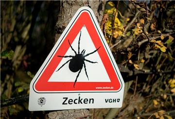 Ein Ausflug in die Natur ist derzeit mit der Gefahr eines Zeckenbisses verbunden.