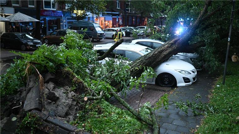 Ein Baum ist im Sturm entwurzelt worden und hat parkende Autos beschädigt.