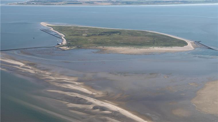 Toter Wal auf unbewohnter Nordseeinsel entdeckt Ein Betreten der streng geschützten, unbewohnten Vogeschutzinsel Minsener Oog mitten im Nationalpark Wattenmeer ist nicht erlaubt. (Archivbild)