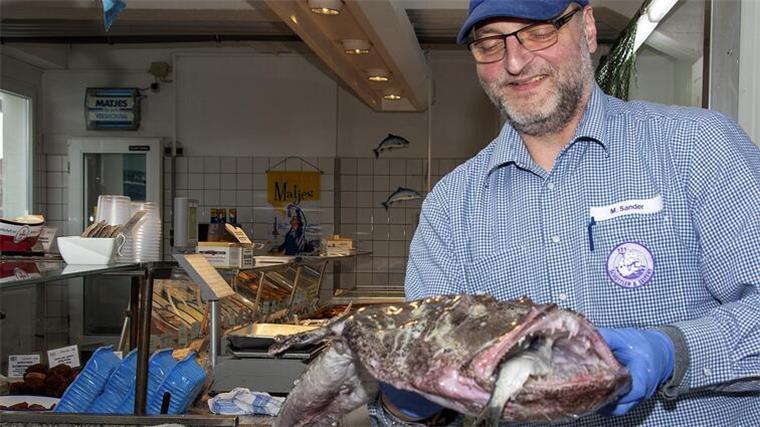 Bremerhavener Fischhandel Schüttler & Seifert insolvent: Wie geht es weiter? Fischhändler hebt einen Seeteufel in Richtung Kamera