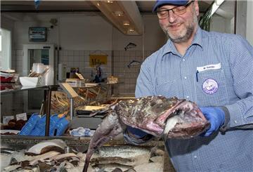 Fischhändler hebt einen Seeteufel in Richtung Kamera