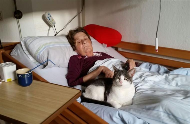 Ein Bild von Katze Schnucki, die auf dem Bett von Gaby Otto sitzt.