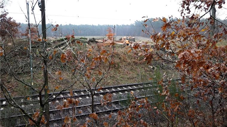 Ein Blitz ist zwischen Lüneburg und Uelzen eingeschlagen. Zugausfälle und Verspätungen im Verkehr in Deutschland waren die Folge.