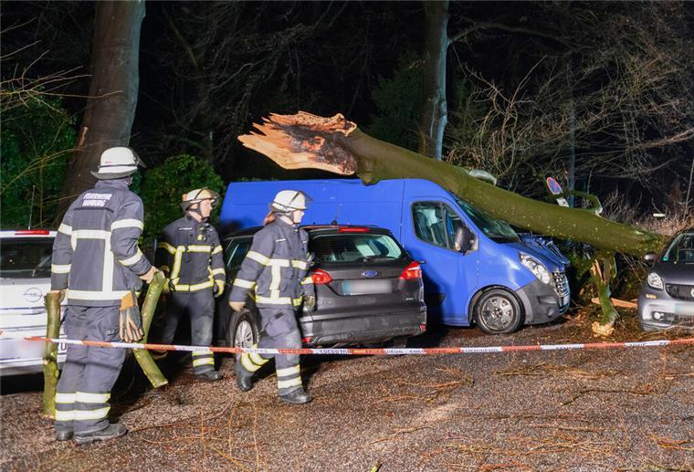 Blitzschlag: Baum stürzt auf mehrere Autos in Hamburg Ein Baum liegt neben der sichtbaren Abbruchstelle auf zerstörten Autos und einem Transporter.