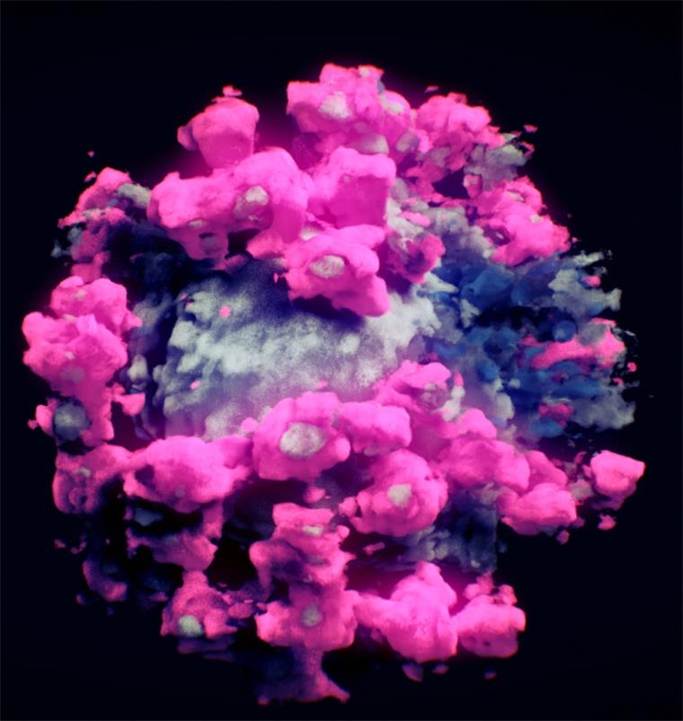 Land Bremen lässt auf Corona-Mutationen testen Ein Coronavirus. Forschern des TU Wien-Spin-off Nanographics gelangen diese und andere Aufnahmen des Erregers. Es handelt sich dabei nicht um computergenerierte Modelle, sondern um durch neue Techniken entstandene 3D-Abbildungen "echter" SARS-CoV-2-Viren aus schockgefrorenen Proben. Laut den Wissenschaftlern sind dies die ersten ihrer Art.