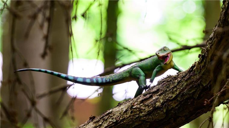 Ein Dinosauriermodell in Originalgröße ist im Wildpark Schwarze Berge ausgestellt. 