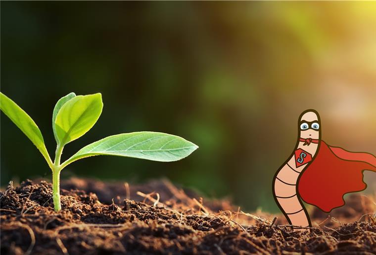 So wichtig ist der Regenwurm für unsere Böden Ein gezeichneter Wurm neben einer kleinen Pflanze, die aus dem Boden ragt.