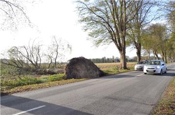 Ein entwurzelter Baum in der Nähe von Sellstedt. Foto: Fixy