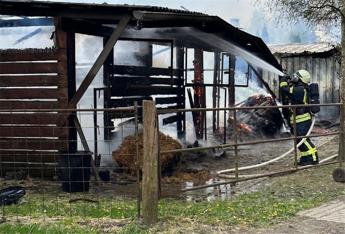 Großeinsatz: Feuer zerstört Pferdestall in Weertzen Ein Feuerwehrmann löscht die Flammen in dem brennenden Pferdestall.