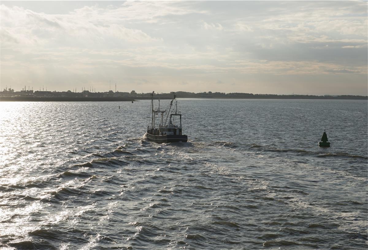 Greenpeace-Report: Zustand von Nord- und Ostsee schlechter denn je Ein Fischkutter auf der Nordsee. Greenpeace kritisiert den Zustand der Meere und der Fischbestände.