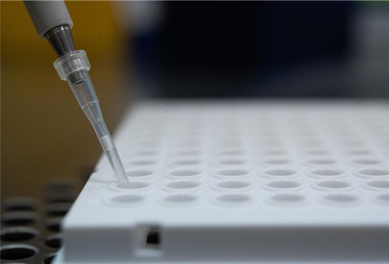 Corona-Mutation breitet sich in Bremen stark aus Ein Forscher zeigt im Landesgesundheitsamt Baden-Württemberg, wie ein PCR-Test für die Analyse auf Mutationen des Coronavirus vorbereitet wird.