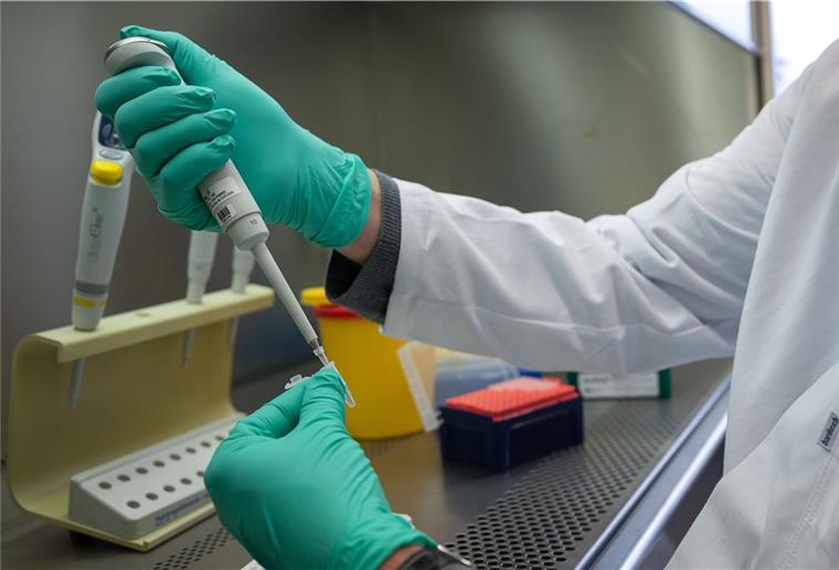 Ein Forscher zeigt, wie ein PCR-Test für die Analyse auf Mutationen des Coronavirus vorbereitet wird.