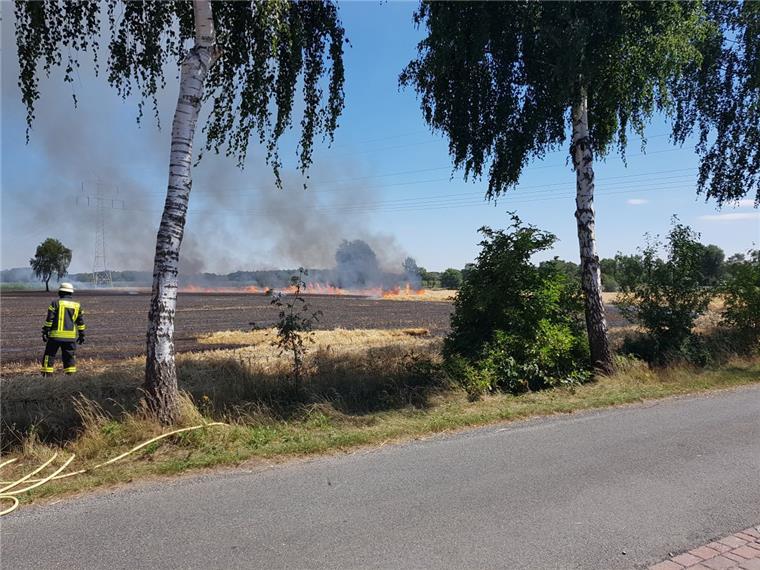 Getreidefeld brennt in Schwanewede komplett nieder Ein fünf Hektar großes Getreidefeld ist am Montagnachmittag in Schwanewede niedergebrannt.