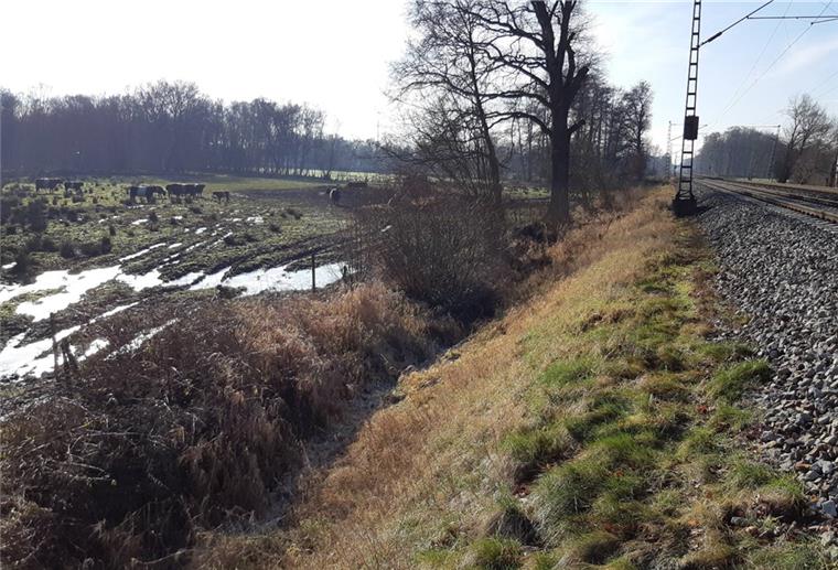 Verden: Polizisten als Cowboys im Einsatz Ein Galloway-Rind sorgte dafür, dass die Bahnstrecke in der Nähe von Oyten gesperrt wurde.