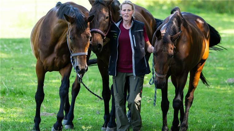 Gnadenhof braucht Hilfe - Pferde und Lämmer zu teuer Ein Gnadenhof für Tiere bei Uelzen kommt an seine Grenzen.