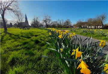 Ein großer Obstgarten am Rande Burhaves. Den haben die Gemeinde und der Bürgerverein Nordseebad Burhave vor 25 Jahren für die Bürgerinnen und Bürger des Ortes angelegt. Foto: Heilscher
