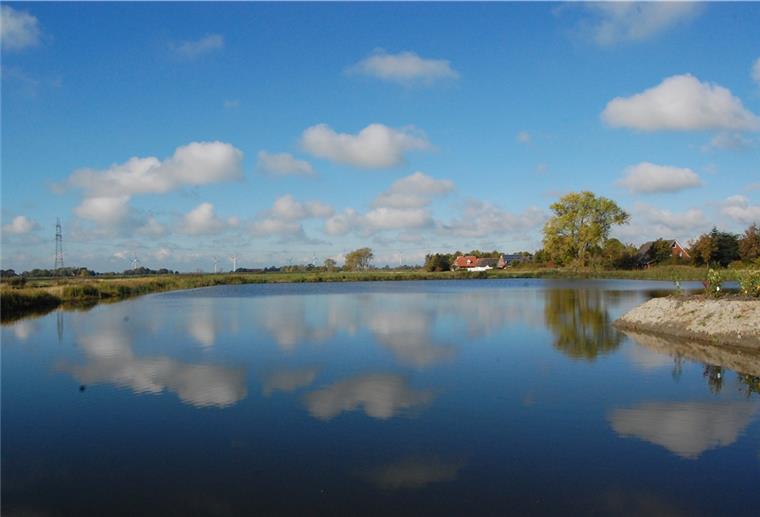 Bereit für Bitterling und Mooshummel Ein Idyll vor den Toren Rodenkirchens: Aus einer abgeziegelten Grube ist ein etwa 1 Hektar großer Teich entstanden.