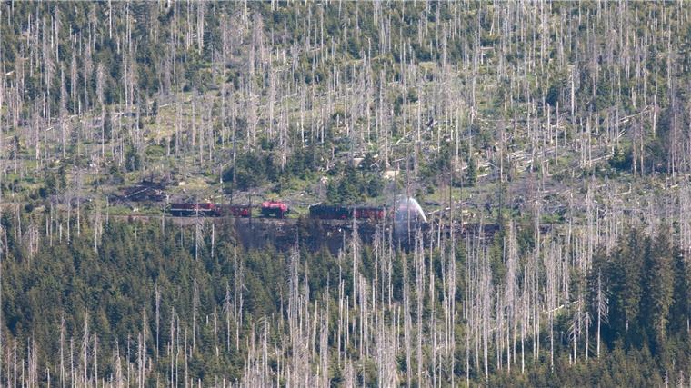 Ein Kesselwagen der Harzer Schmalspurbahnen GmbH HSB fährt ins Waldbrandgebiet am Brocken.