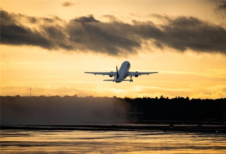 Schweine zwingen Flugzeug zur Notlandung! KLM-Flug musste auf Bermuda stoppen Flugzeug startet am Flughafen