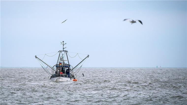 „Unsere Fischerei braucht Zukunft“: Ideen der Küstenorte Ein Krabbenkutter fährt aus dem Hafen in Horumersiel.