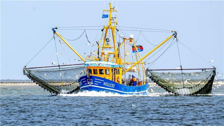 EU-Aktionsplan zu Meeresschutz Ein Krabbenkutter ist auf der Nordsee unterwegs.