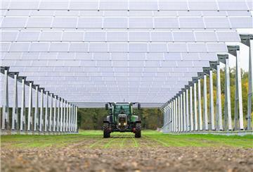 Ein Landwirt fährt mit einem Trecker unterhalb der Agrar-Photovoltaik-Anlage entlang.